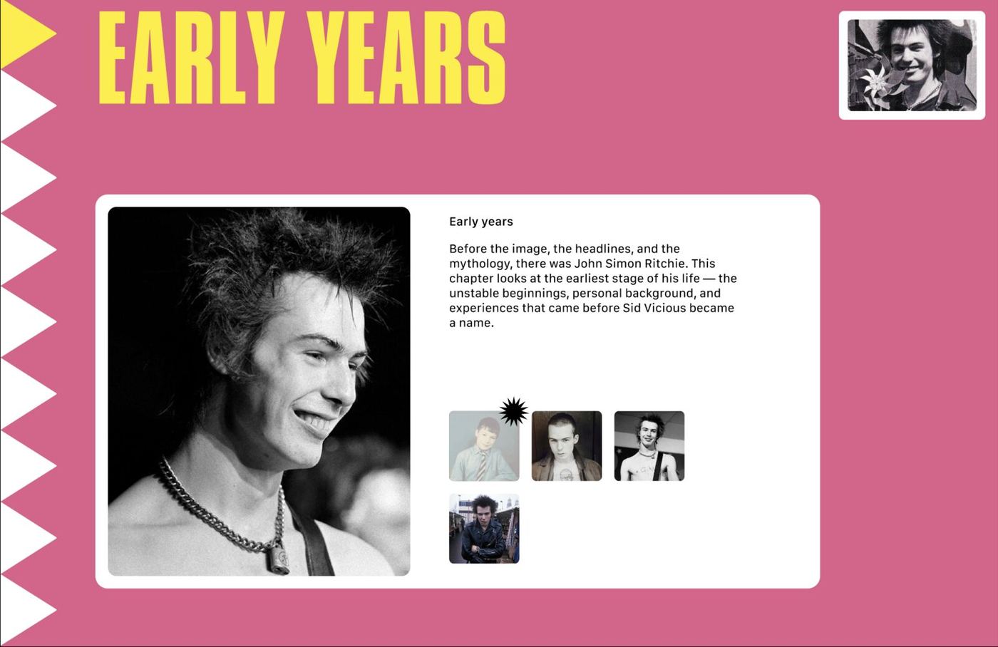 Sid Vicious 3